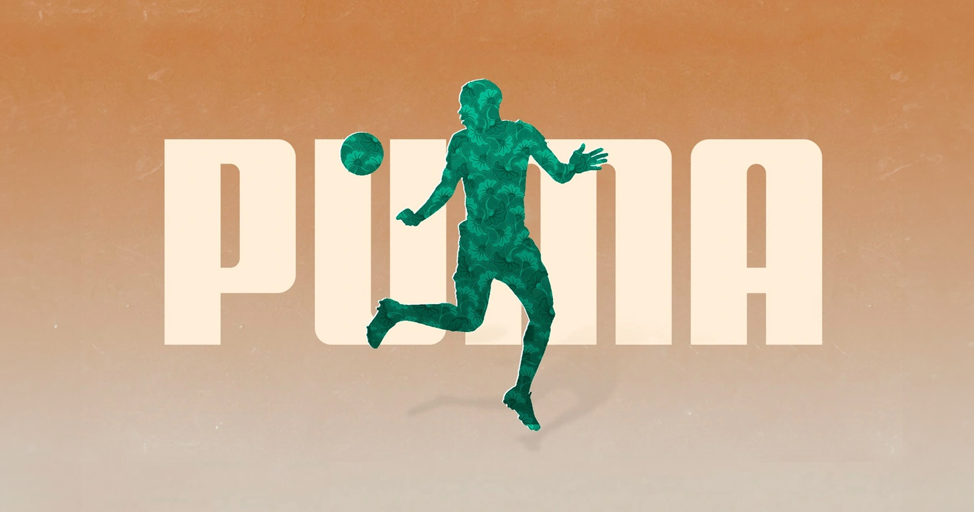 Puma 2010