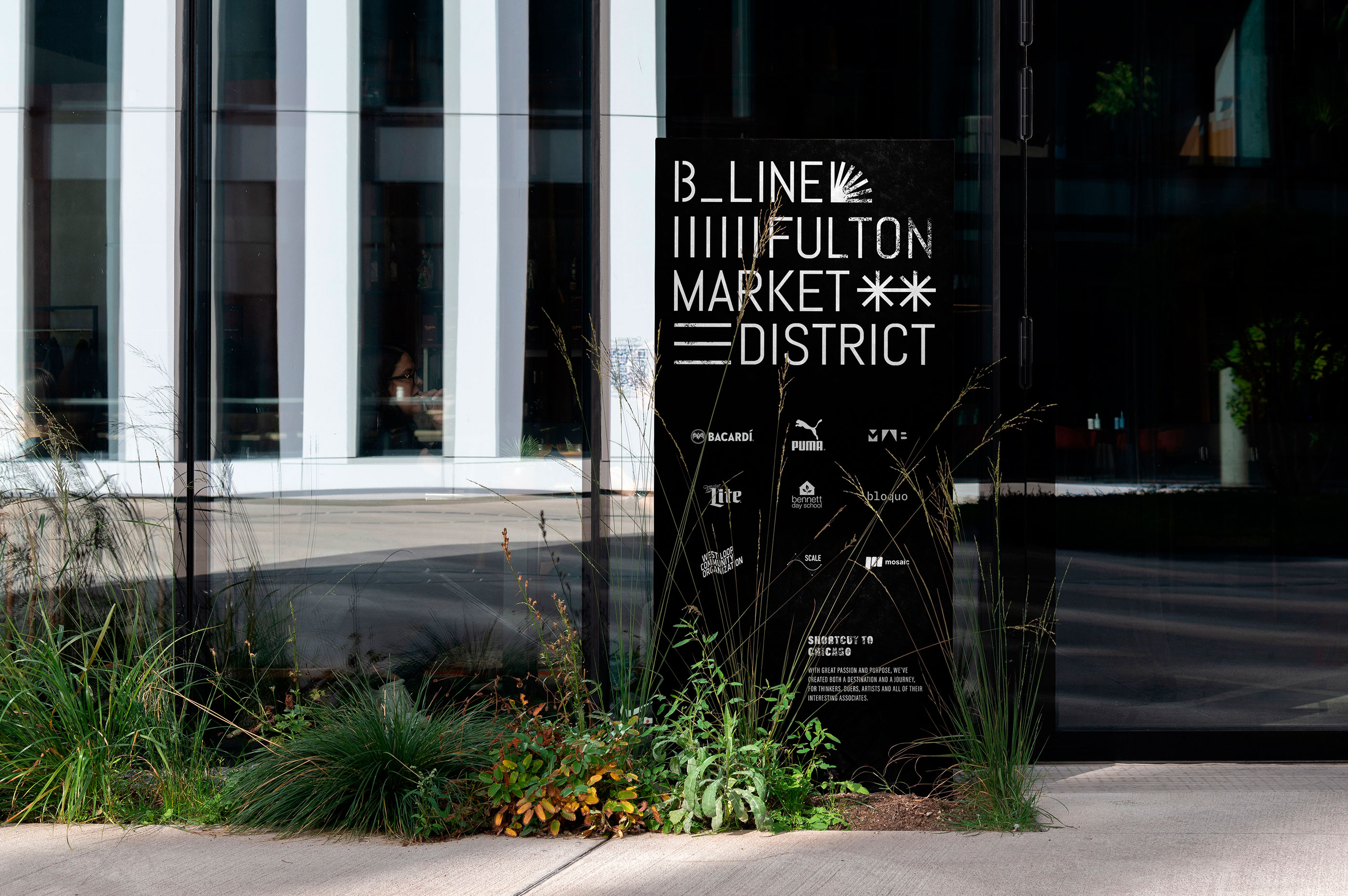 B_LINE